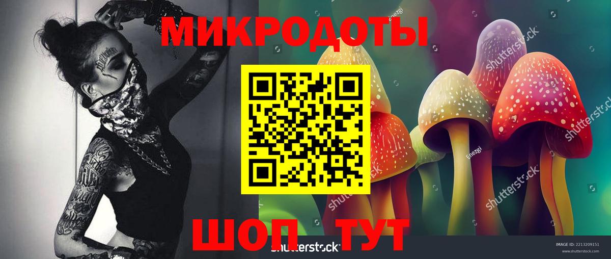 Псилоцибиновые грибы мицелий  Псилоцибиновые грибы Cubensis  Вход с VPN  Удомля 
