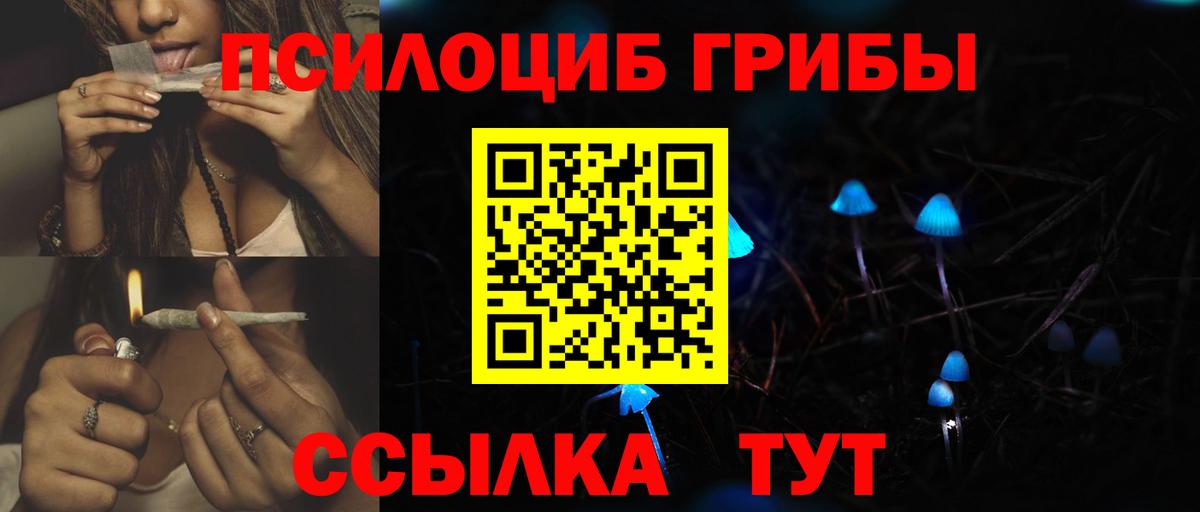 Галлюциногенные грибы Psilocybe Удомля